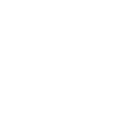MDN International Salsa Congress 2026 preview